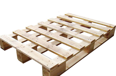 ľ���b���ʲô�x���_ľ�бP���I(y��)